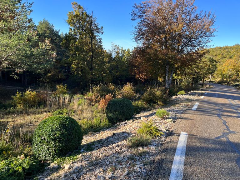 route-highlight