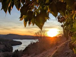 Back home, bonne année !