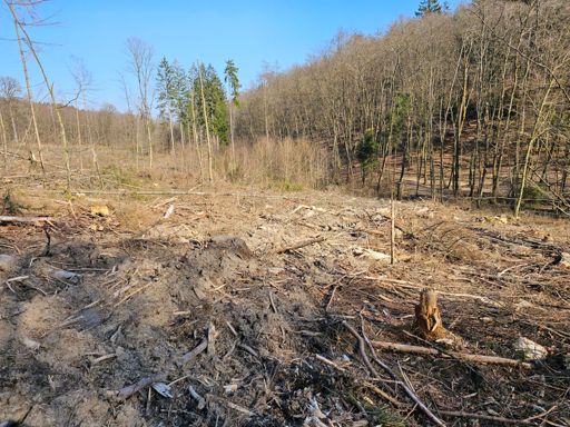 Hier war mal ein Weg🤷‍♂️