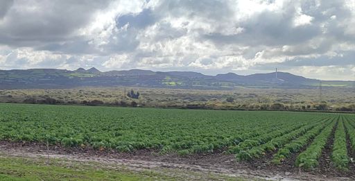 China clay quarrying skyline