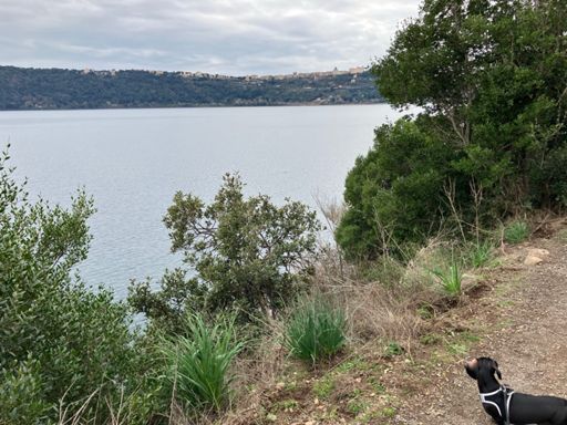 Theodore, Lago Albano, and Castel Gandolfo