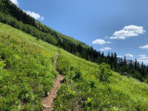 I really love this trail