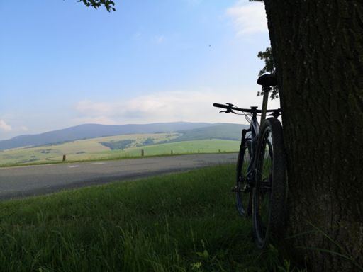 Čekání na odvoz... 😎