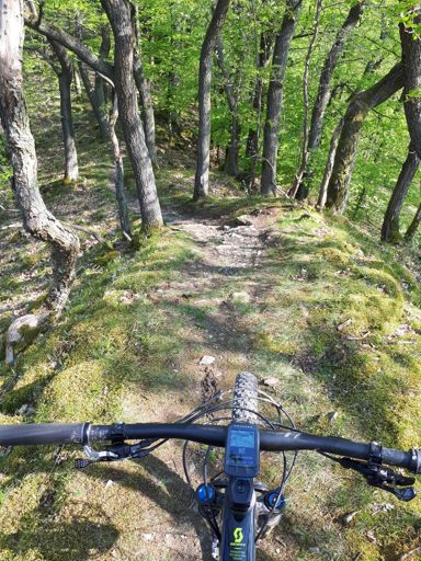 The beginning of the end. 🤗