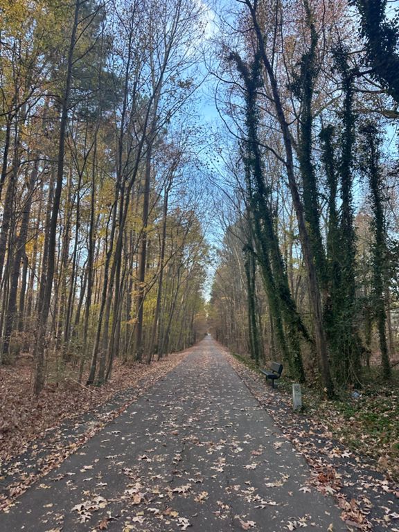 route-highlight