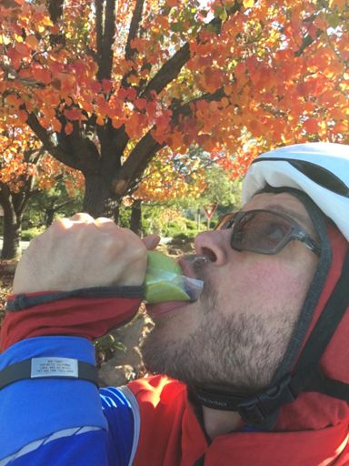 Guacamole is the new Goo.