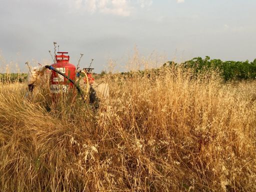 Irrigation à outrance 😂