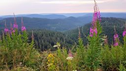 Mini trotte autour du lac Mummel