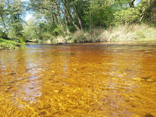 Drogowle rzeka Czarna