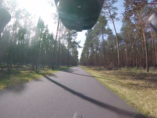 Auf der Runde gab es viele Fahrradstraßen quer durch den Wald, kein Mensch zu sehen:-))