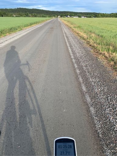 Svingte innom å hilste på mamma når je først var ute på tur.