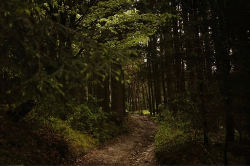 Altijd hetzelfde, Ethiopische-woekiewoekie-jazz-uit-1970, liedje met deze jongen.