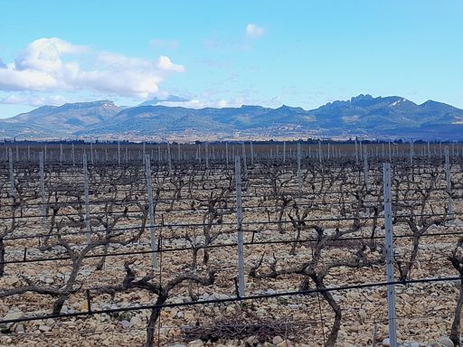 Kijk je naar rechts, veelal zonnig