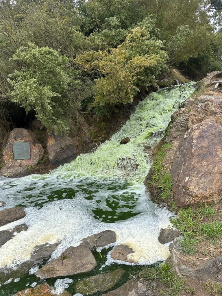 Butterlap (Presidio & Golden Gate Park) photo 157