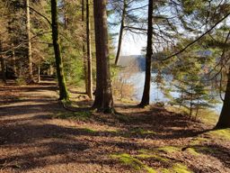 MTB VTT autour de Pierre Percée