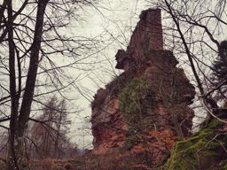 Rando trail Falkenstein