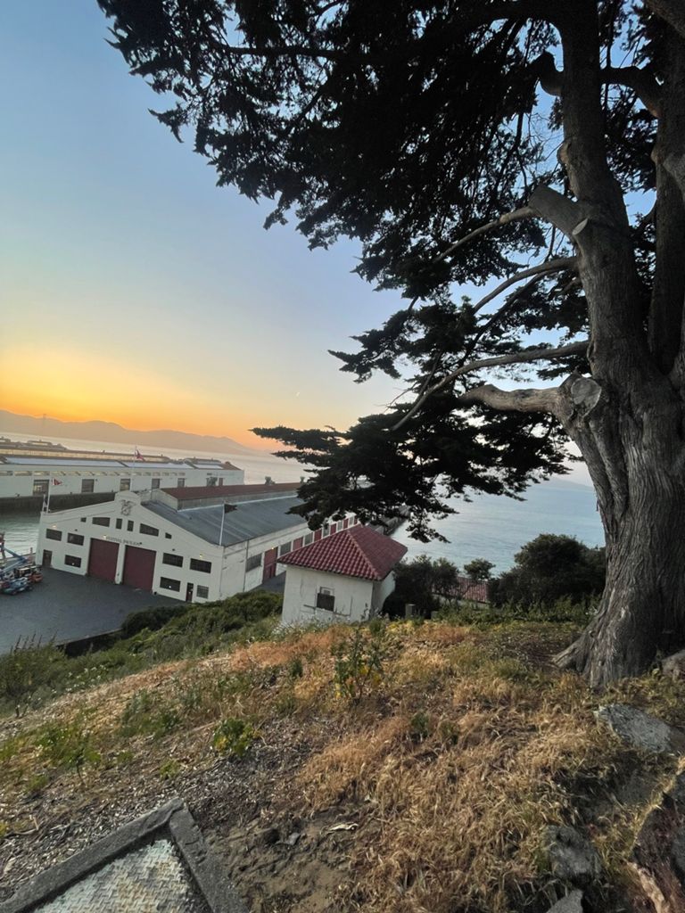 Butterlap (Presidio & Golden Gate Park) photo 95