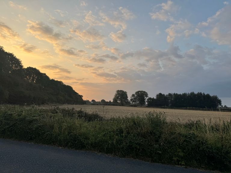 route-highlight