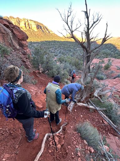 The chicks making their way off Baby Bell.