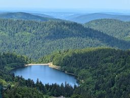 Crapahutage matinal dans les hautes vosges