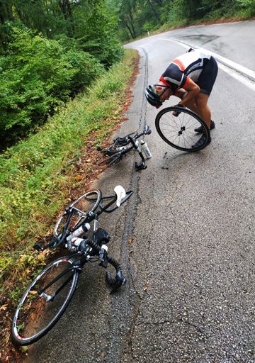 Στάση για να απολαύσουμε το δάσος.