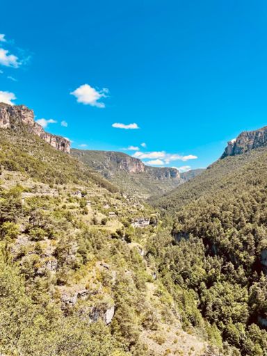 gorges de la Jonte