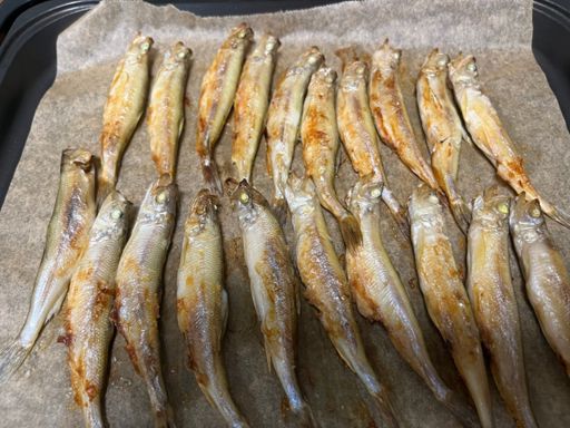 芦別クリテで頂いたカネダイ大野商店のシシャモで先日パーティ美味しかった😋ご馳走様でした