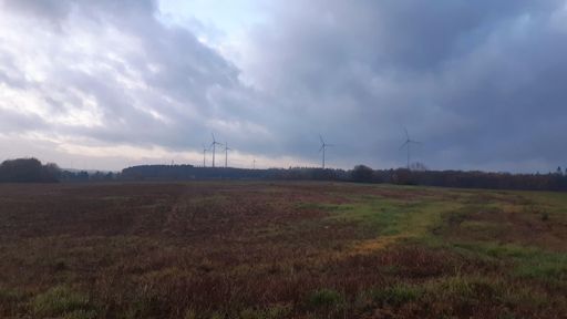 Oberhalb von Fronhofen