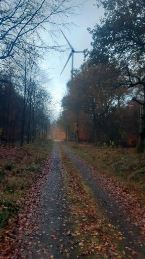 Paralleler Waldweg zum Biebertaler Radweg zwischen Fronhofen und Wüschheim. 