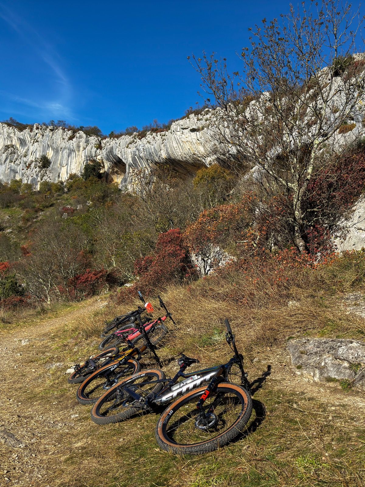 Ride Image 5