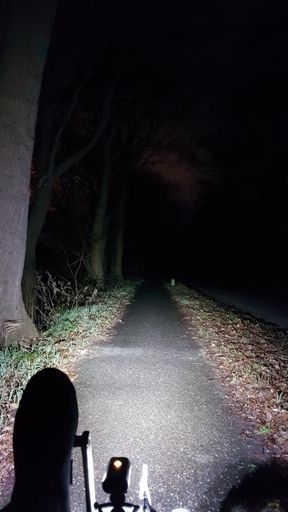 Mijn uitzicht vanochtend op een pad langs het Markkanaal tussen Terheijden en Oosterhout