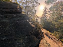 Tour dans forêt de Taintrux avant la séance d’escalade