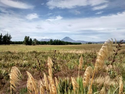 That's Mt Doom (Ngaruahoe) in the middle, Tongariro the flatter one to the left.