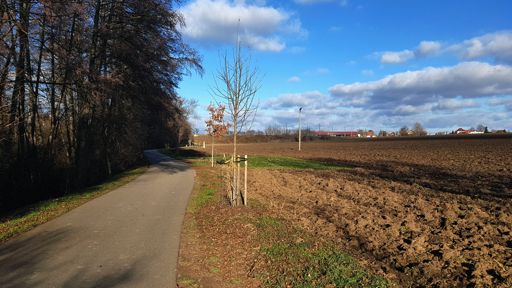 na stezce z Kobylnic do Šlapanic