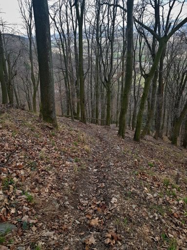 "drážka" od motorkářů je pěkně strmá a plná kamení