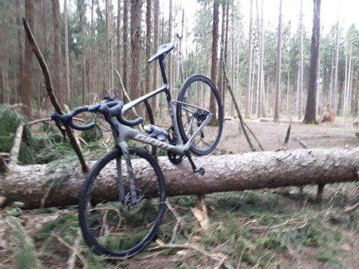 Heimwärts kleines Crosstraining 😉