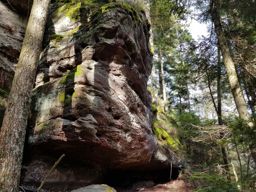 Crapahutage recherche infructueuse des têtes de lajus