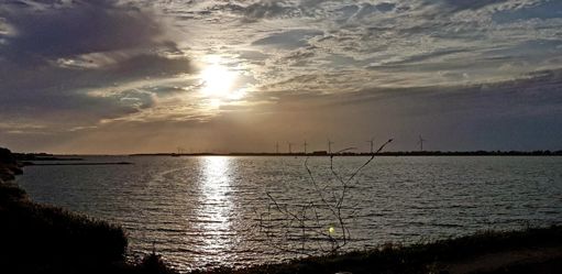 Het vaste Hollands Diep kiekje