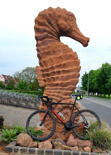 Hoppala..dicker fisch