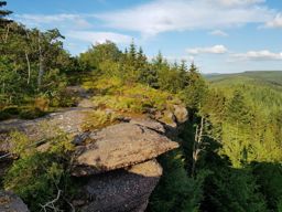 VTT MTB au Grand Rougimont