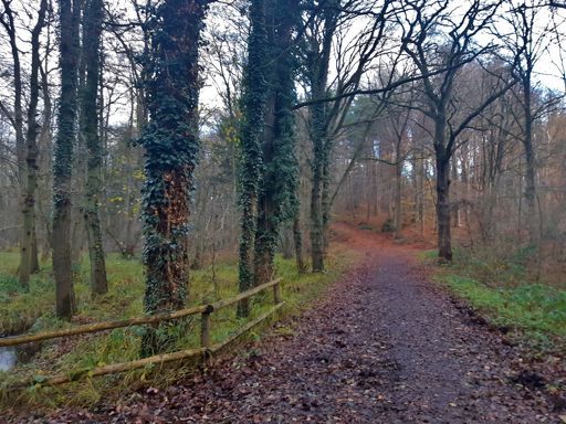 Rond de Schürkesbach