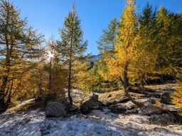 Tête de l’Estrop depuis la Foux d’Allos