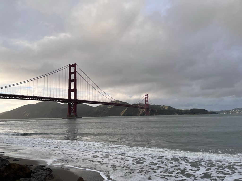 Butterlap (Presidio & Golden Gate Park) photo 161