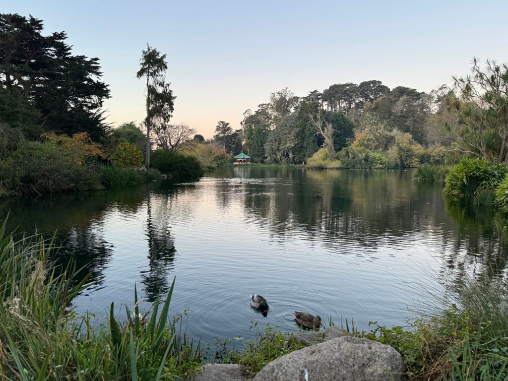 Butterlap (Presidio & Golden Gate Park) photo 78