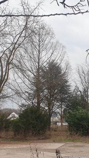 Rodgau_ID24252_UM_Raiffeisenstraße 2