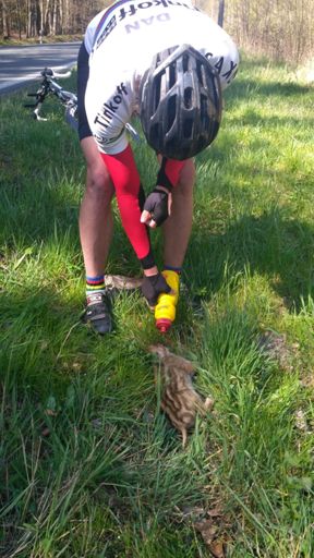 Rickey hledá velký kámen: Dorazíme ho, ať se netrápí! Dan: Dám mu napít, určitě se uzdraví, je jen omráčený... 😁😈