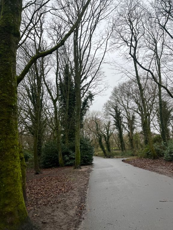 27 12 23 13 9 Km Running Route On Strava 27 12 23 13 9 Km Running Route On Strava