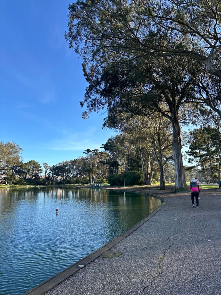 Butterlap (Presidio & Golden Gate Park) photo 195