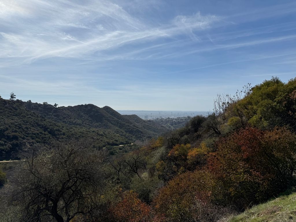 NBB run - Lake Hollywood photo 53