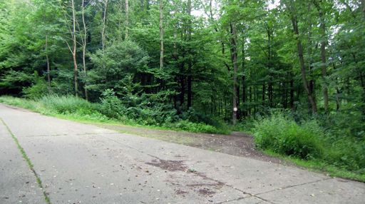 The first crash site on this tour off the Panzer Weg on the Göttingen Wald - this being a Luftwaffe fighter